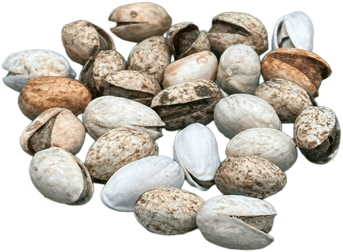 The Works Pistachios Image