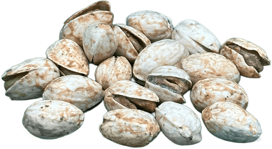 Ranch Pistachios Image