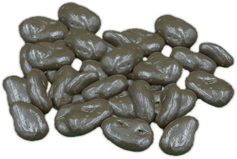 Sugar Free Chocolate Pecans Image